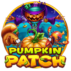 Pumpkin Patch